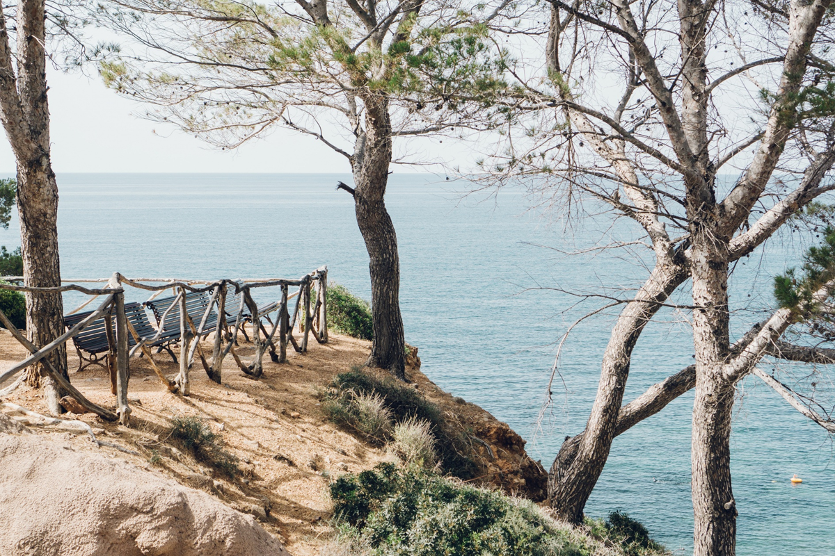 Campervan na Costa Vicentina: praias, surf e natureza selvagem em Portugal